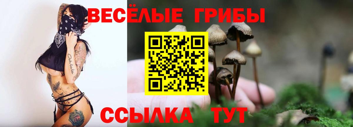Петрозаводск  Галлюциногенные грибы MAGIC MUSHROOMS  Вход с VPN 